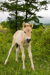 Similar image 204498