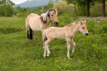 Similar image 204499