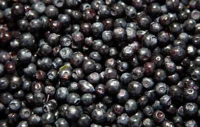 Similar image 204514