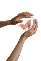 Similar image 204529