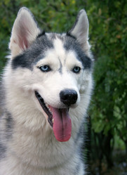 Similar image 204535