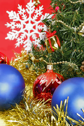 Similar image 204537