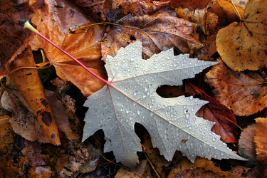 Similar image 204539