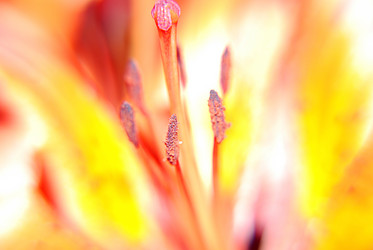 Similar image 204562