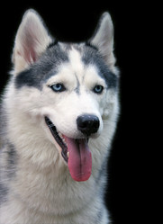 Similar image 204597