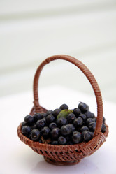 Similar image 204614