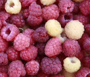 Similar image 204617