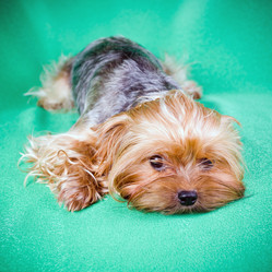 Similar image 204628