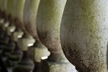 Similar image 204630