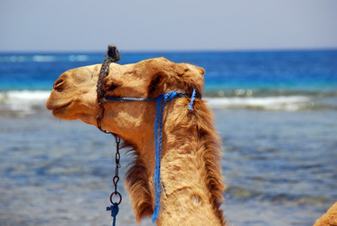 Similar image 204656