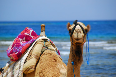 Similar image 204657