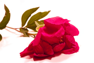 Similar image 204685