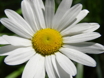 Similar image 204686