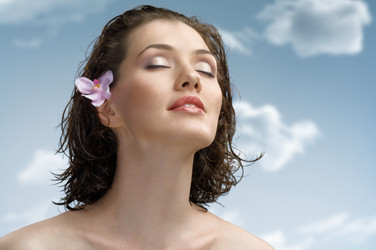 Similar image 204694