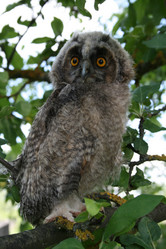 Similar image 204711