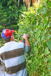 Similar image 204734