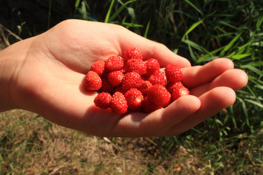 Similar image 204743