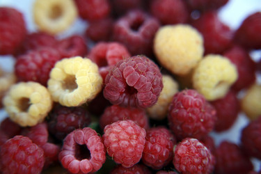 Similar image 204774