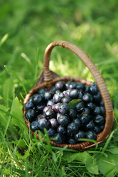 Similar image 204775