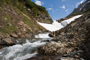 Similar image 204777