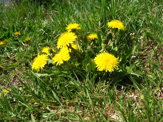 Similar image 204779