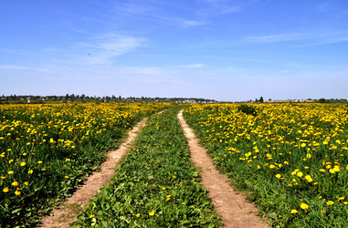 Similar image 204782