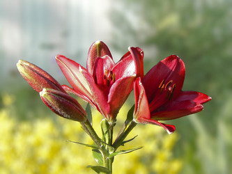 Similar image 204787