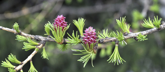 Similar image 204789