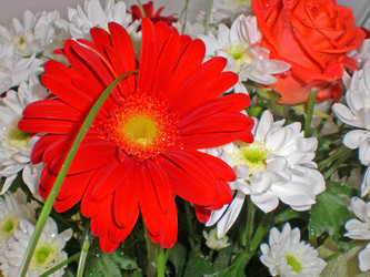 Similar image 204800