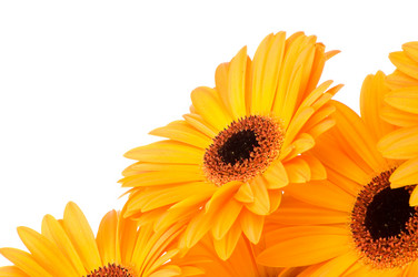 Similar image 204802