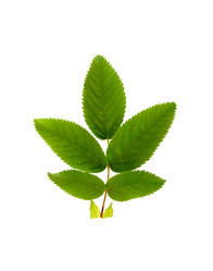 Similar image 204808