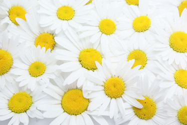 Similar image 204810