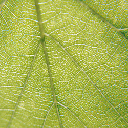 Similar image 204826