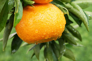 Similar image 204838