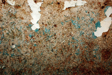 Similar image 204850