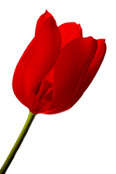 Similar image 204869