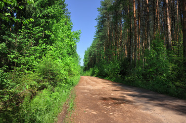 Similar image 204883