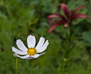 Similar image 204896