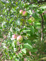 Similar image 204933