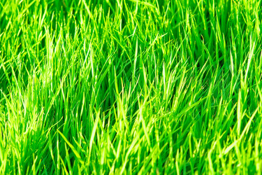 Similar image 204954