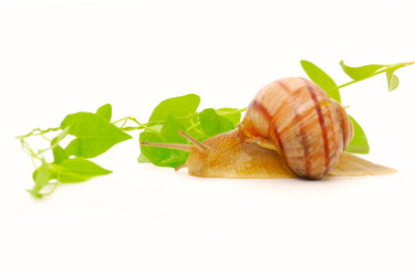 Similar image 204966