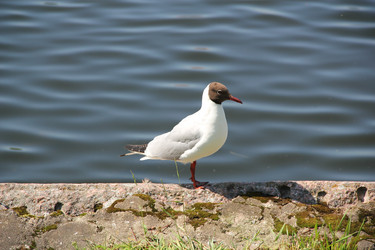 Similar image 204981