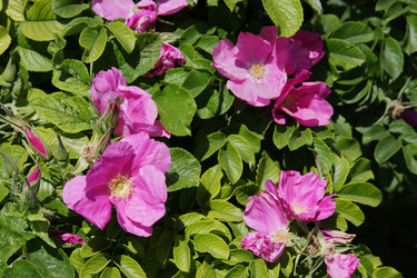 Similar image 204987