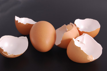 Similar image 204994