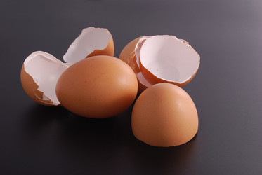 Similar image 205003