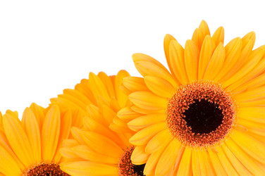 Similar image 205006