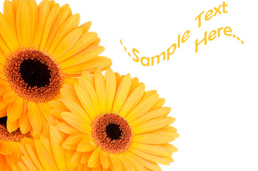 Similar image 205031