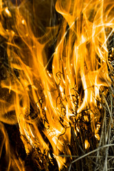 Similar image 205044