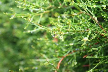 Similar image 205058