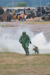 Similar image 205059